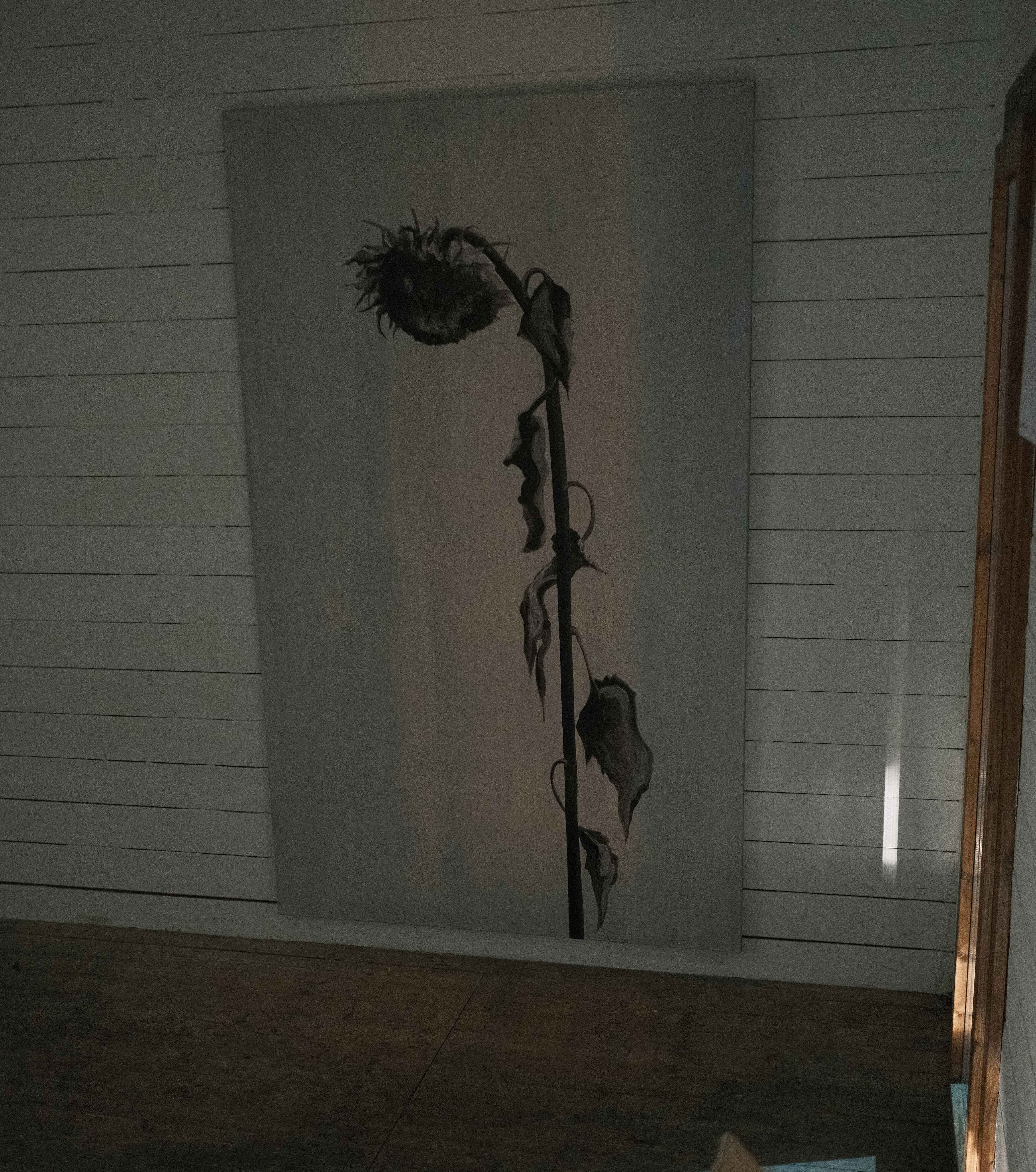 MargauxBula_exposition_espace_annexe