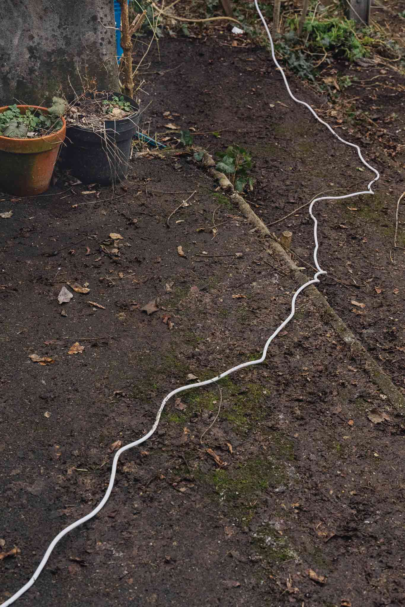 'Miaou' by Eliot Bessot