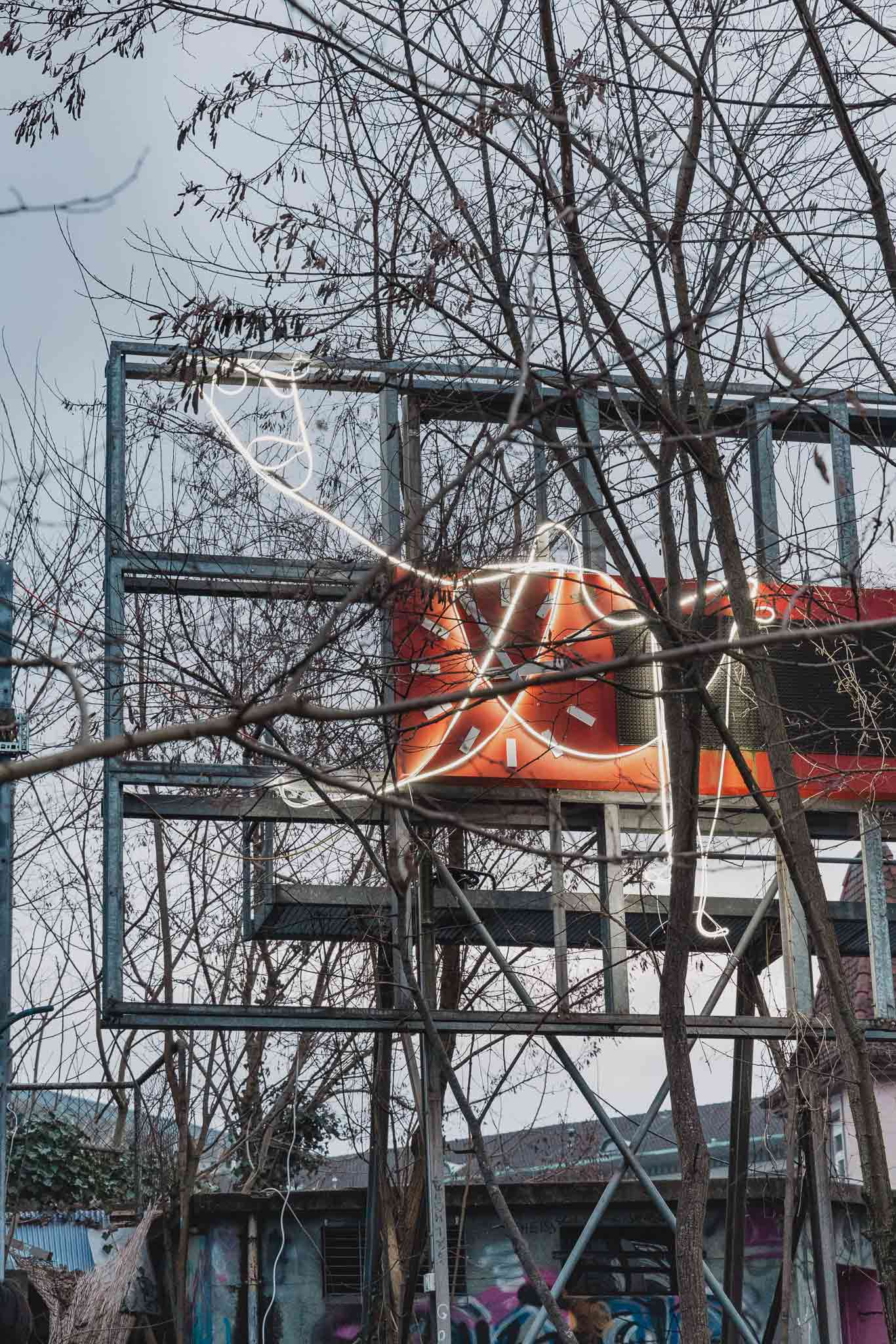 'Miaou' by Eliot Bessot