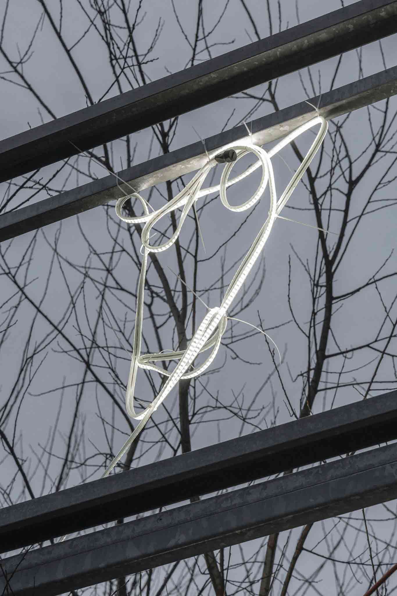 'Miaou' by Eliot Bessot