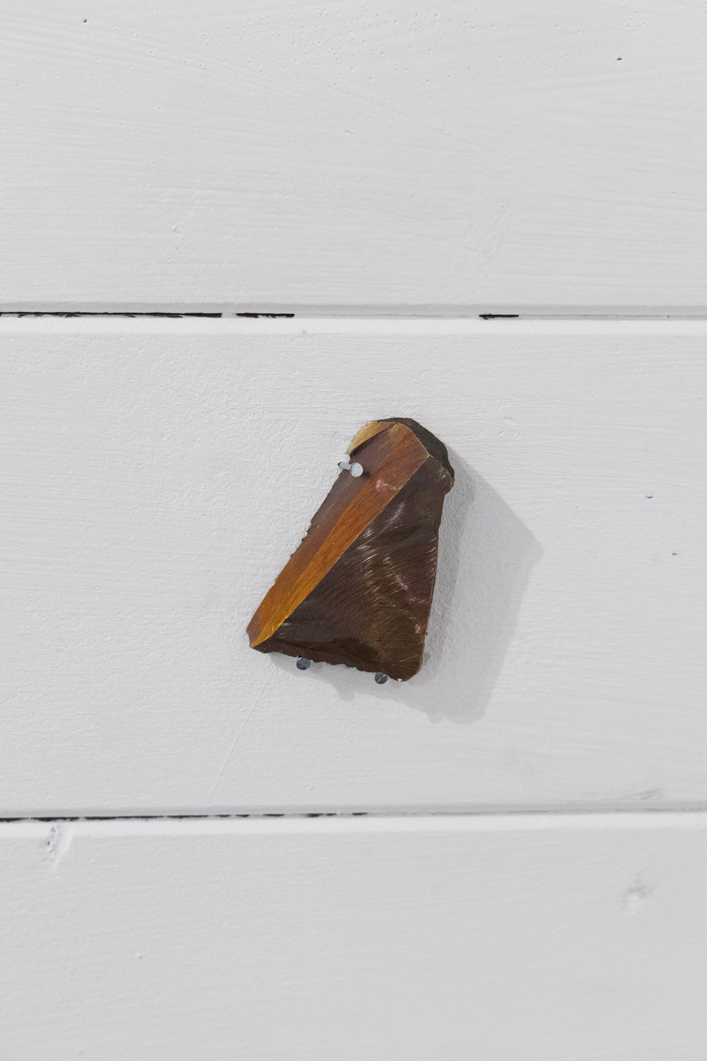 'Polvere domestica, Muzi